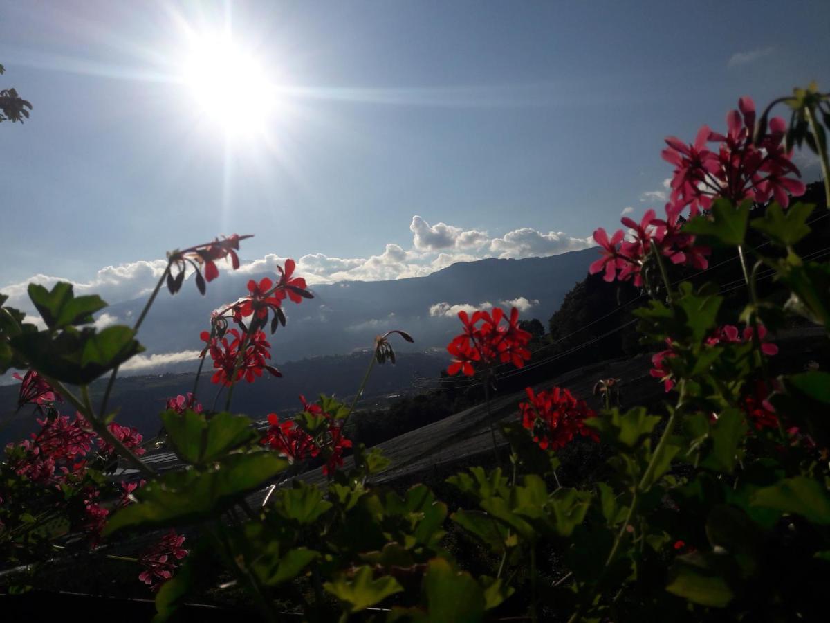Moserhof Marlengo Luaran gambar